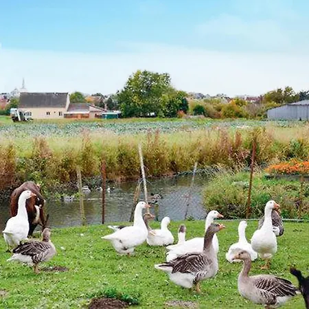 Gorgeous In St Omer With Wifi 펜션 생토메르